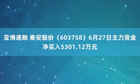 亚博速融 秦安股份（603758）6月27日主力资金净买入5301.12万元
