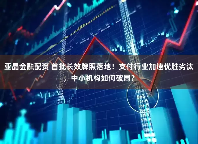 亚晶金融配资 首批长效牌照落地！支付行业加速优胜劣汰，中小机构如何破局？