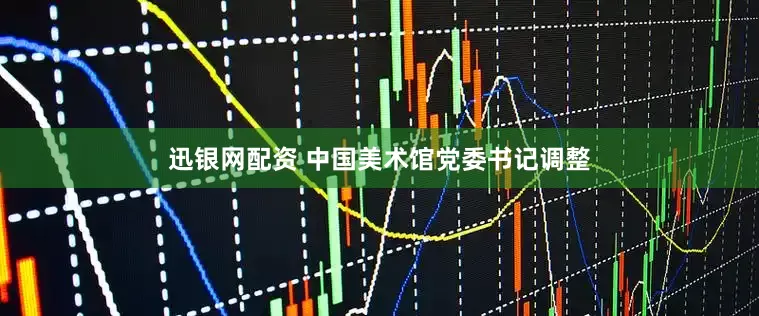 迅银网配资 中国美术馆党委书记调整